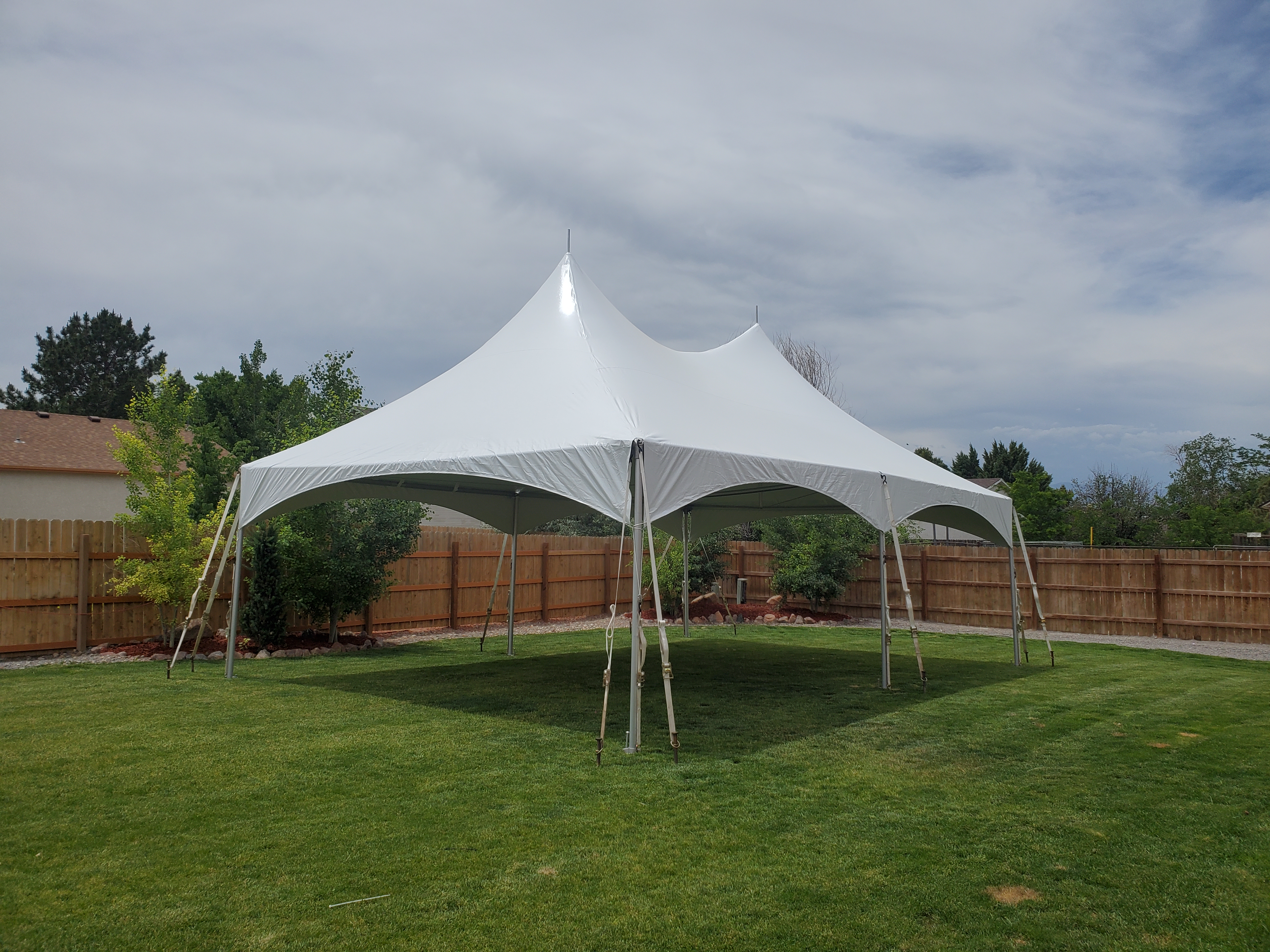 20x30 High peak frame tent staked in backyard
