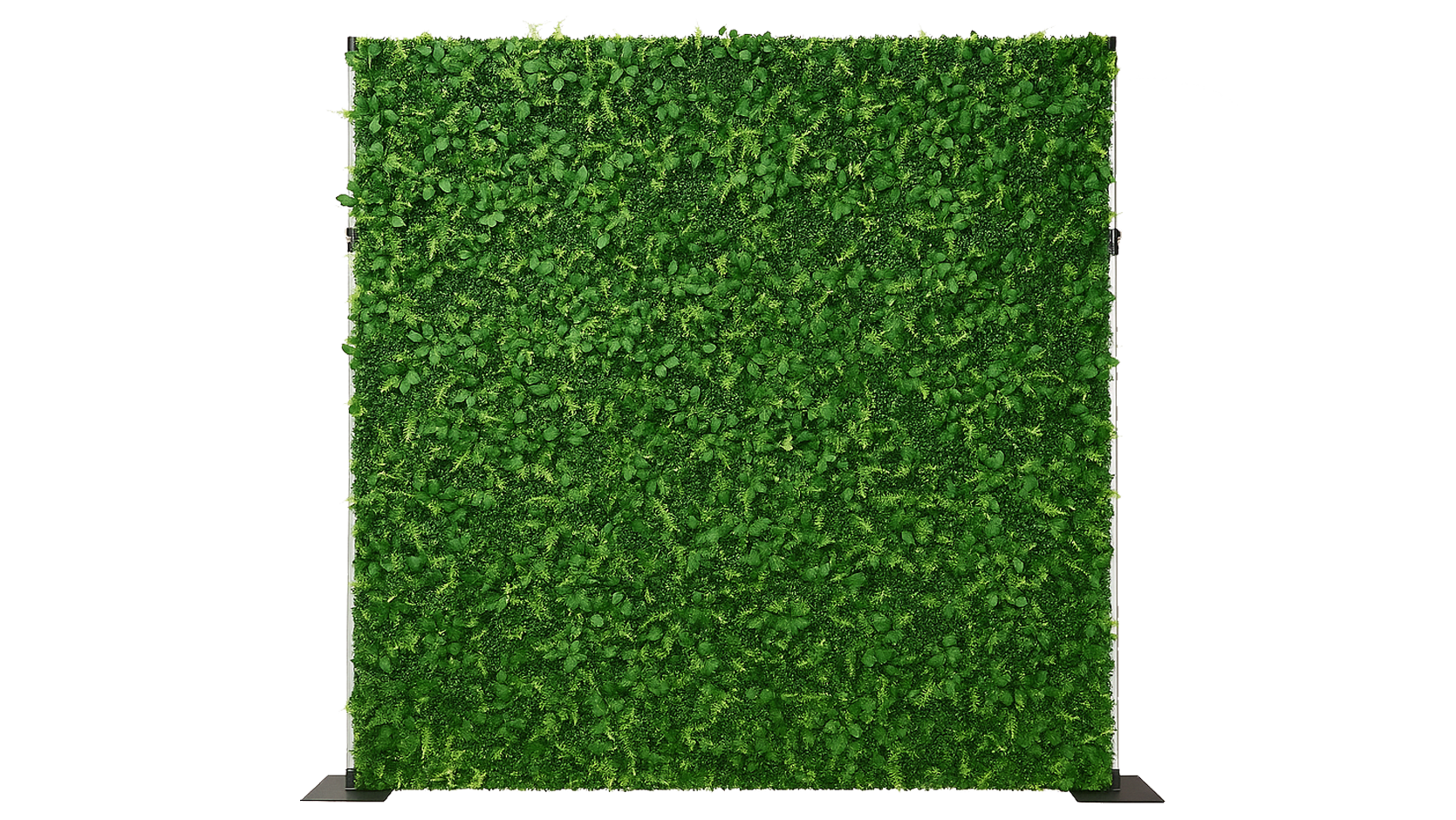 greenery backdrop rental colorado springs